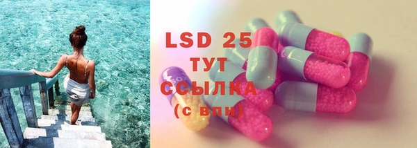 ECSTASY Алзамай