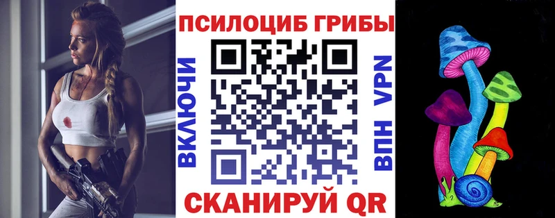 omg онион  магазин    Щигры  Псилоцибиновые грибы мухоморы 