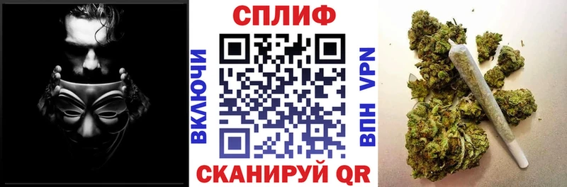 Конопля VHQ  MEGA сайт  Щигры 